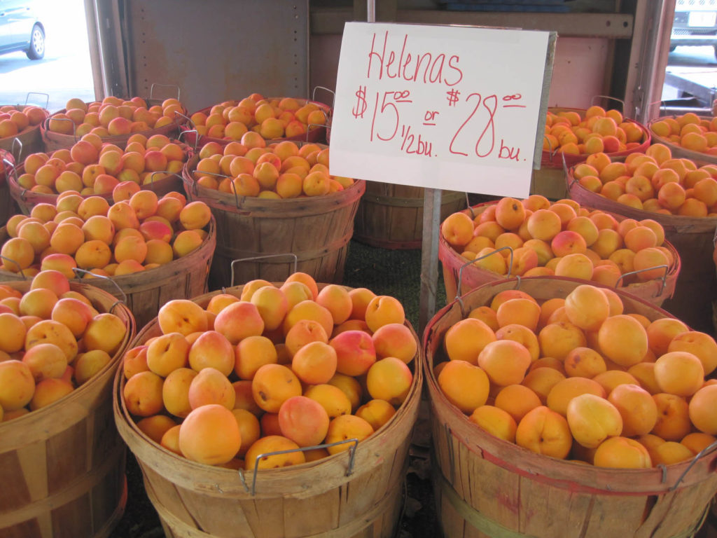 Utah peaches