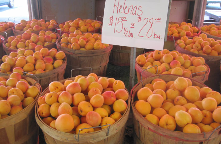 Utah peaches