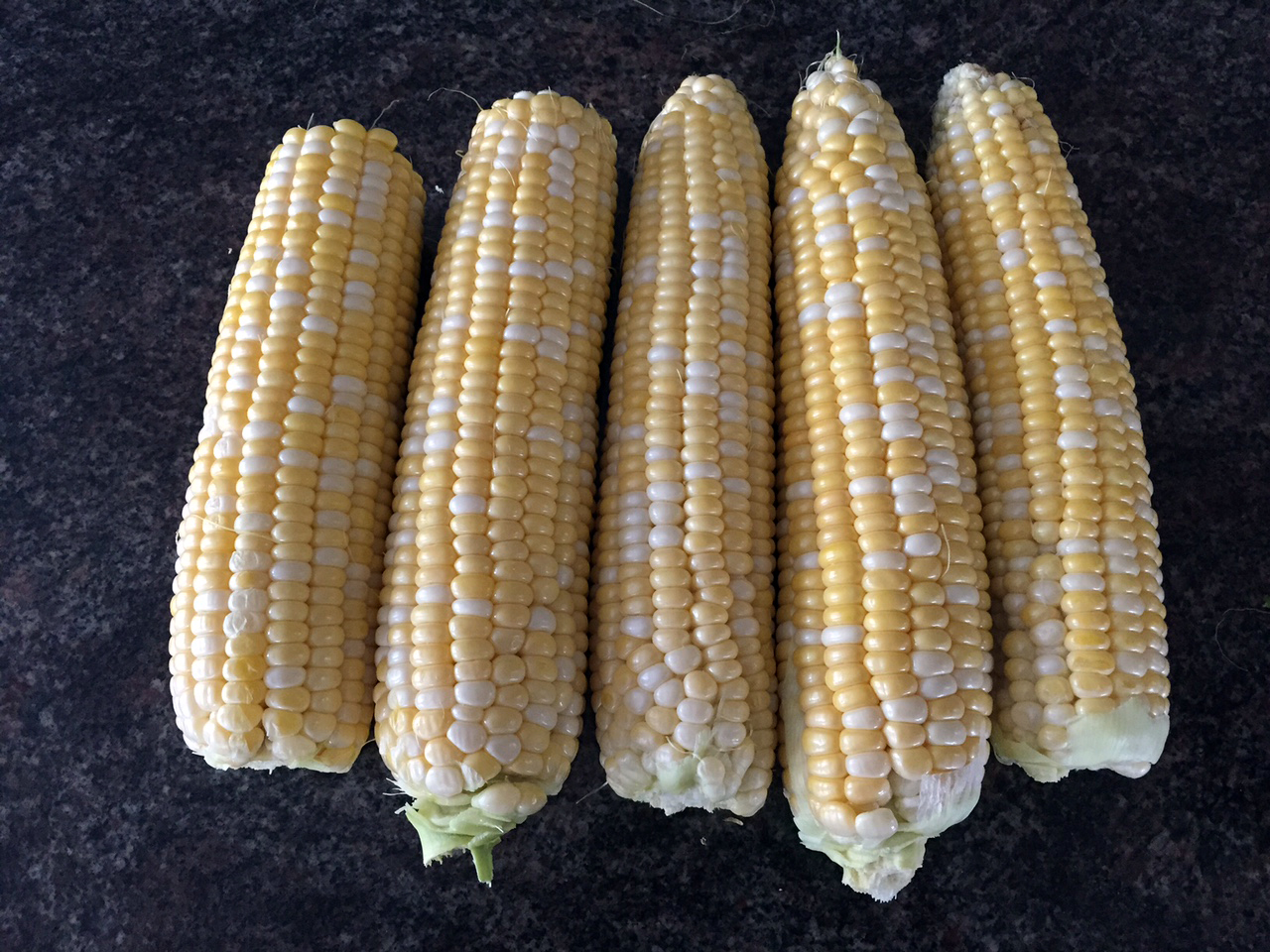 Utah sweet corn