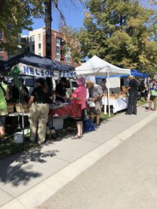 Tuesday Downtown Farmers Market